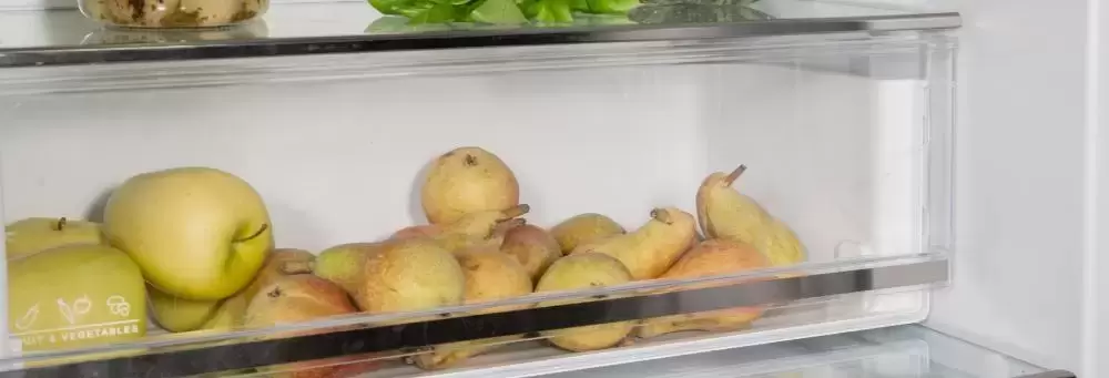 Встраиваемый холодильник 70 см Bertazzoni REF704BBNPTC